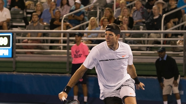 Хуан Мартин Дель Потро