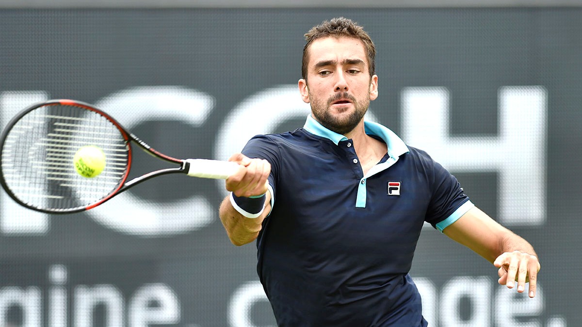 Марин Чилич