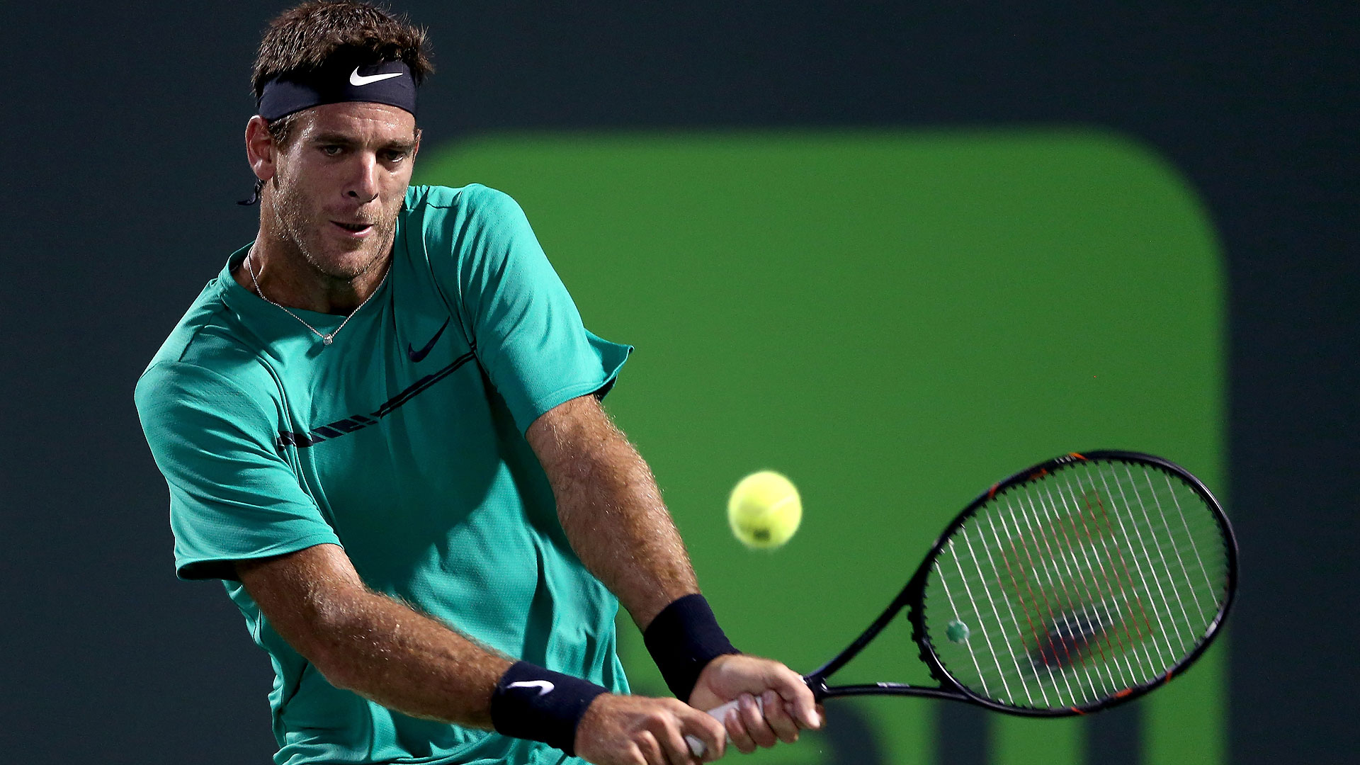 Хуан Мартин Дель Потро