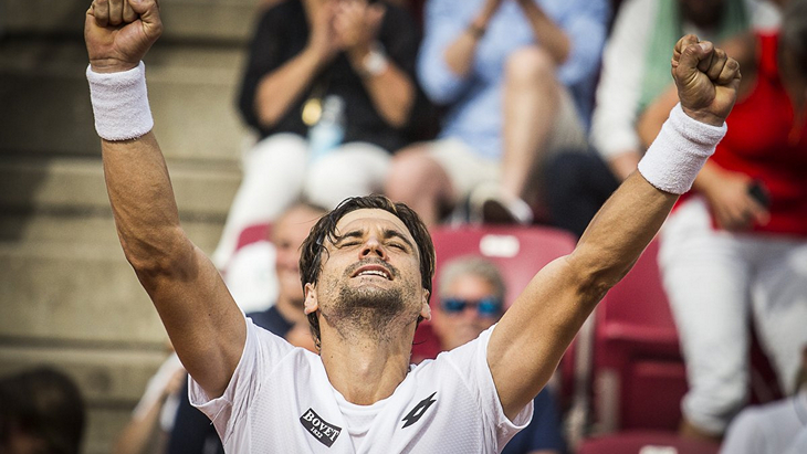 Давид Феррер