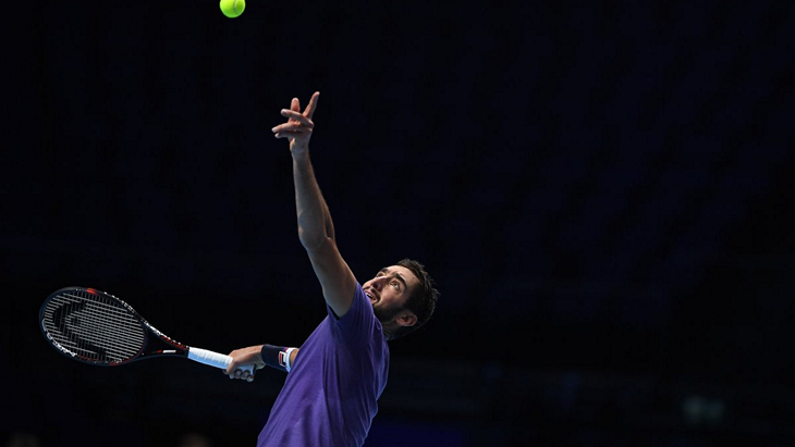 Марин Чилич