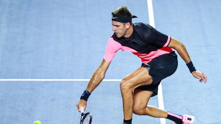 Хуан Мартин Дель Потро