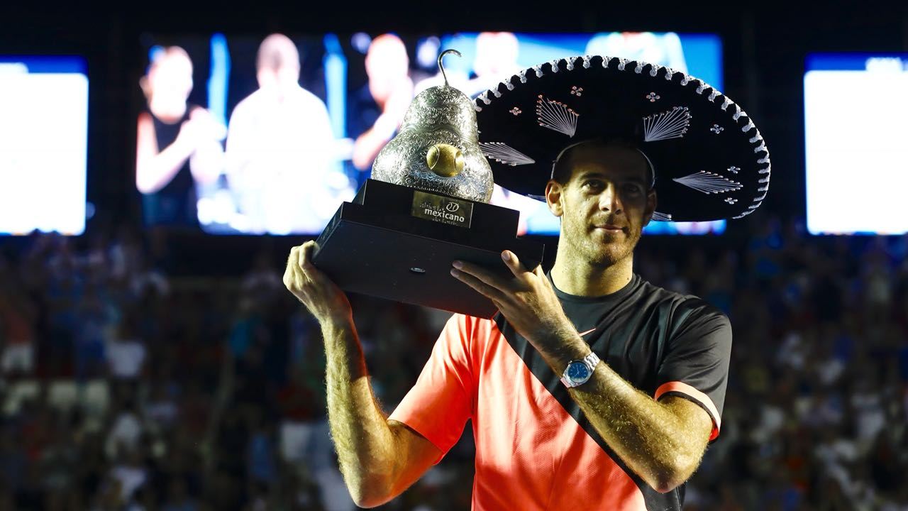 Хуан Мартин Дель Потро