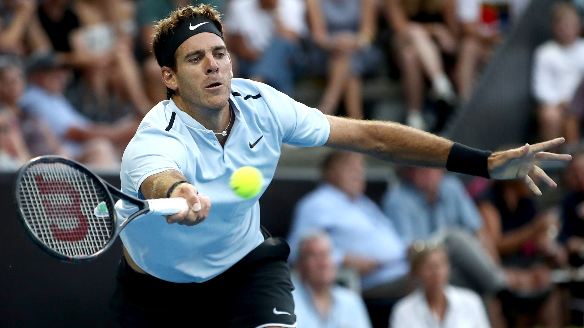 Хуан Мартин Дель Потро