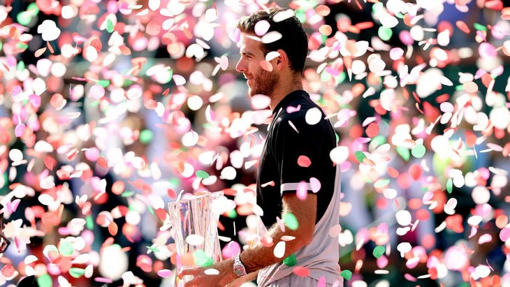 Хуан Мартин Дель Потро