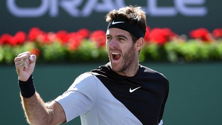 Хуан Мартин Дель Потро