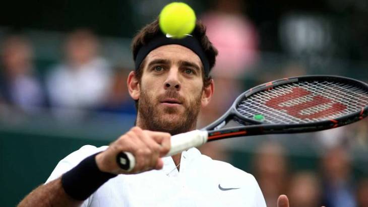 Хуан-Мартин Дель Потро