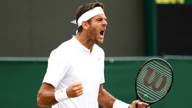 Хуан-Мартин Дель Потро