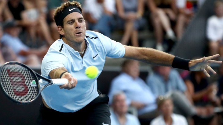 Хуан Мартин Дель Потро