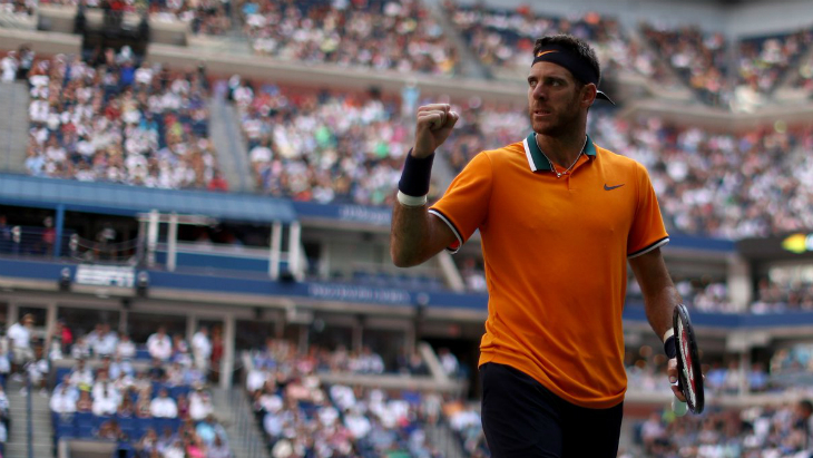 Хуан Мартин Дель Потро