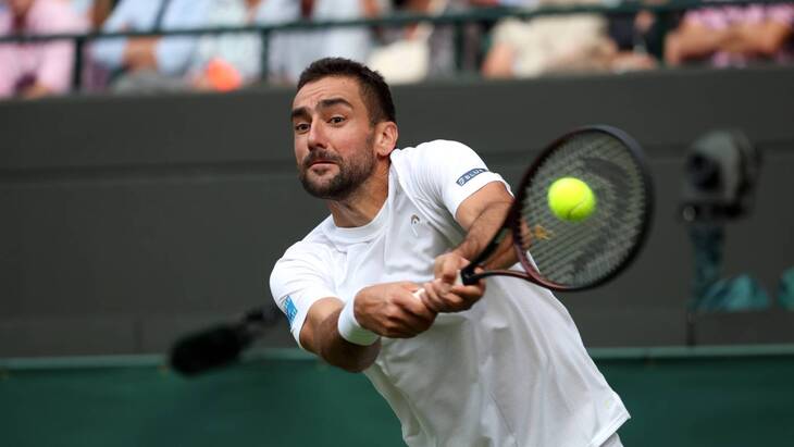 Марин Чилич