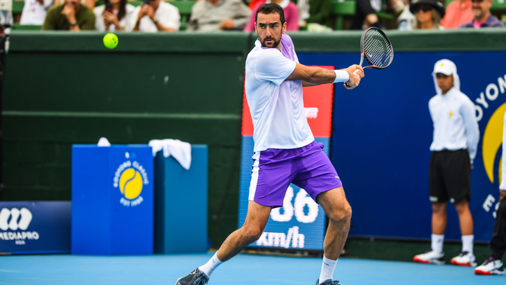 Марин Чилич