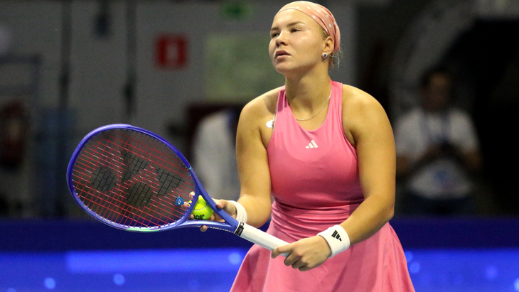 Диана Шнайдер