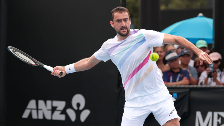 Марин Чилич