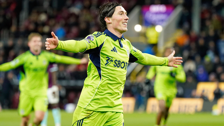 Гарри Уилсон («Фулхэм»)