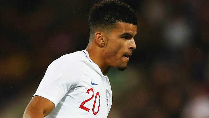 Доминик Соланке