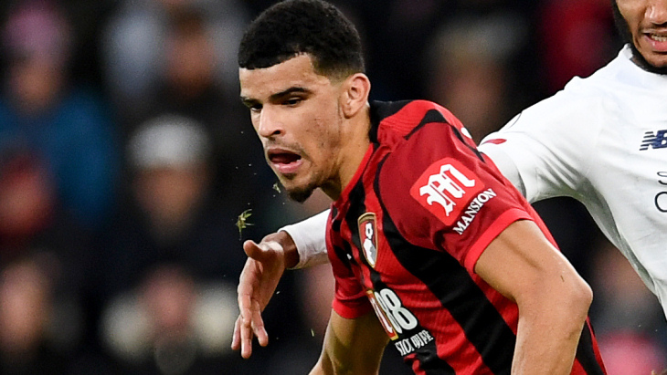 Доминик Соланке