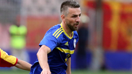 Прогноз на матч Босния и Герцеговина — Нидерланды