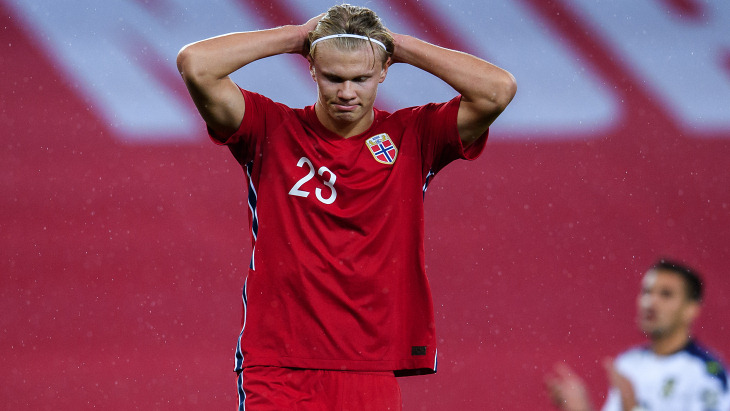 Эрлинг Холанн