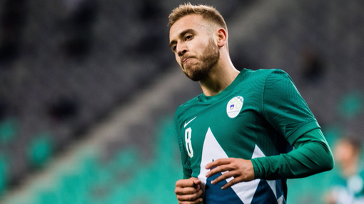 Молдавия — Словения. Прогноз и ставка на матч Прогноз на матч Молдавия — Словения