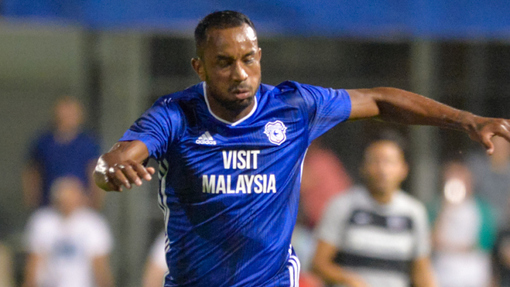 Норвич Сити — Кардифф Сити. Прогноз и ставка на матч Прогноз на матч Норвич Сити — Кардифф Сити