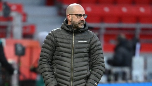 Янг Бойз — Байер. Прогноз и ставка на матч Прогноз на матч Янг Бойз — Байер