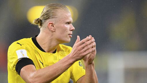 Прогноз на матч Боруссия Д — Хоффенхайм