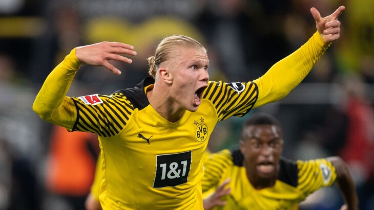 Эрлинг Холанн