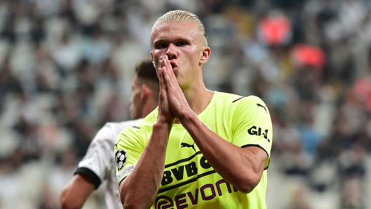 Эрлинг Холанн