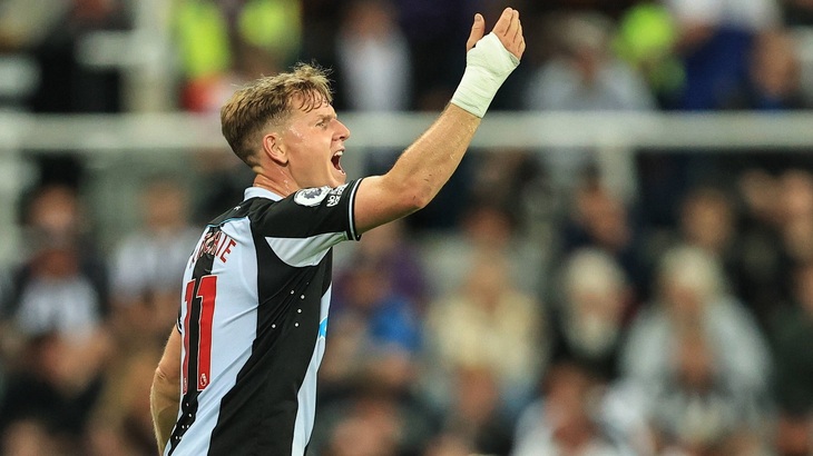 «Ньюкасл» еще не выигрывает в АПЛ текущего сезона