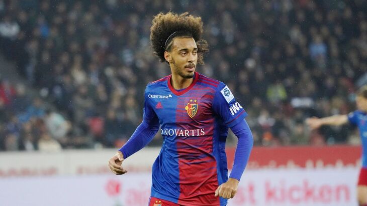 Томаш Тавариш