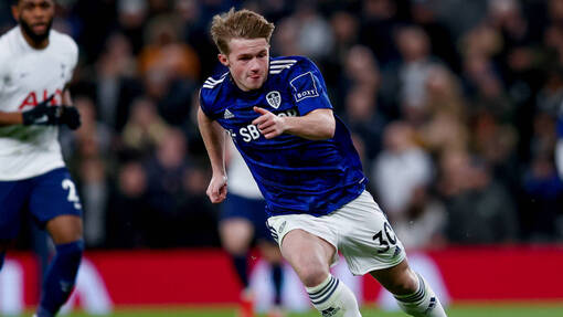 Брайтон энд Хоув Альбион — Лидс. Прогноз и ставка на матч Прогноз на матч Брайтон энд Хоув Альбион — Лидс