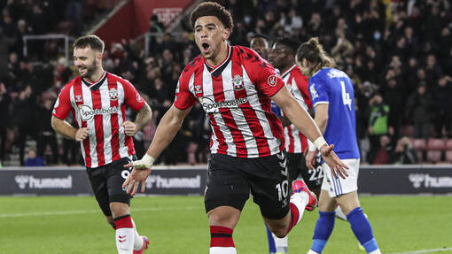 Саутгемптон — Брайтон энд Хоув Альбион. Прогноз и ставка на матч Прогноз на матч Саутгемптон — Брайтон энд Хоув Альбион