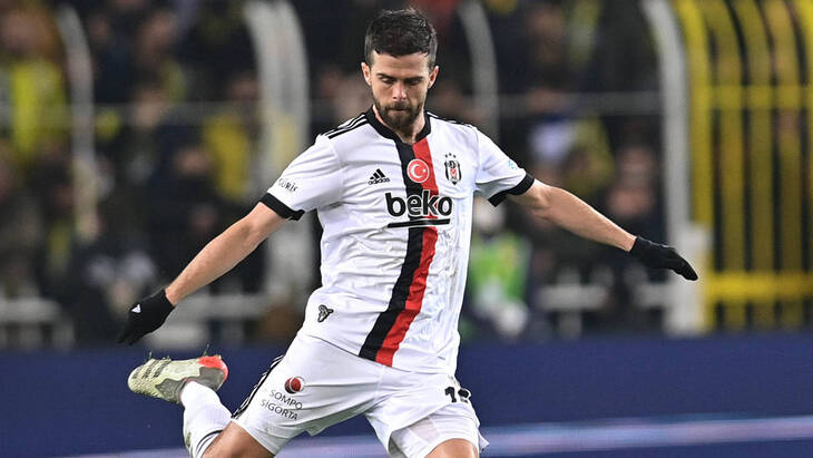 Миралем Пьянич