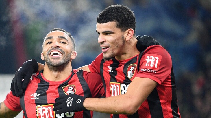 Доминик Соланке