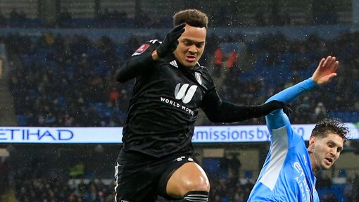 Прогноз на матч Суонси — Фулхэм