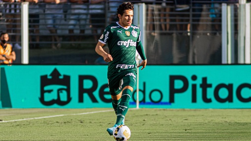 Прогноз на матч Палмейрас — Атлетико Минейро