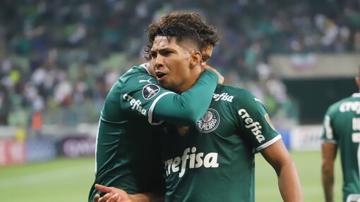 Прогноз на матч Палмейрас — Ботафого