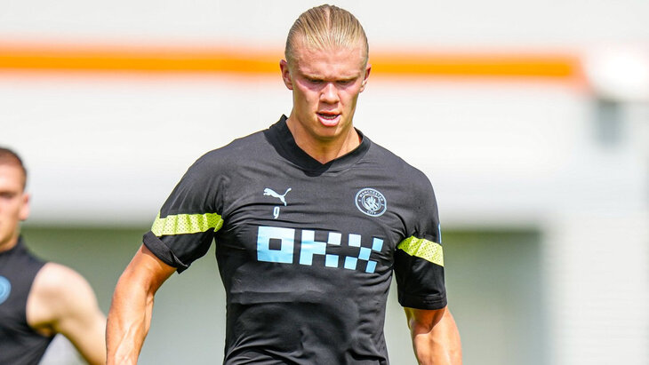 Эрлинг Холанн