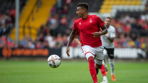 Ноттингем Форест — Вест Хэм. Прогноз и ставка на матч Прогноз на матч Ноттингем Форест — Вест Хэм