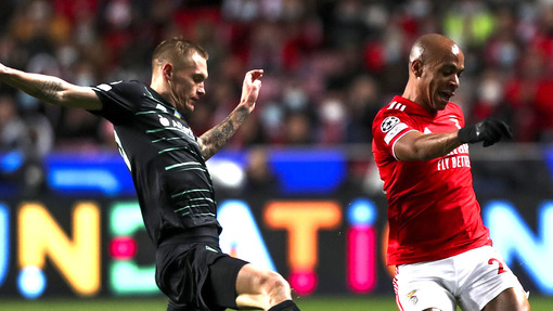 Прогноз на матч Динамо К — Бенфика