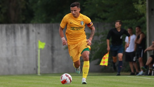 Ингулец — Александрия. Прогноз и ставка на матч Прогноз на матч Ингулец — Александрия