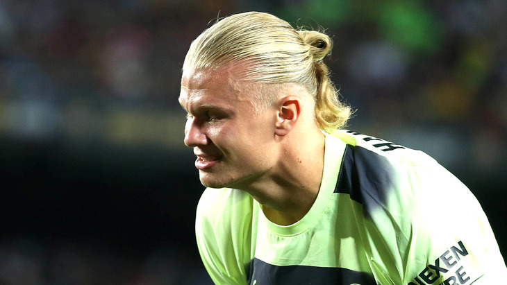 Эрлинг Холанн