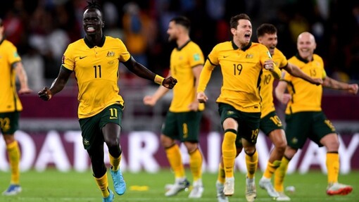 Новая Зеландия — Австралия. Прогноз и ставка на матч Прогноз на матч Новая Зеландия — Австралия