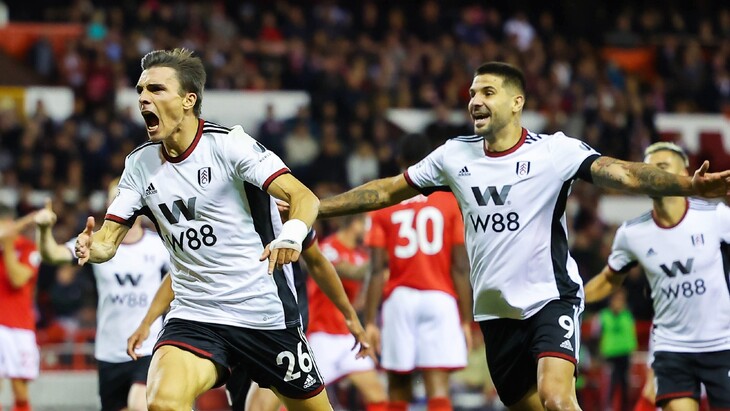 Игроки «Фулхэма»