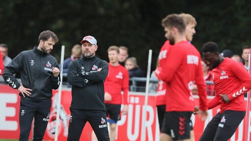 Словацко — Кёльн. Прогноз и ставка на матч Прогноз на матч Словацко — Кёльн