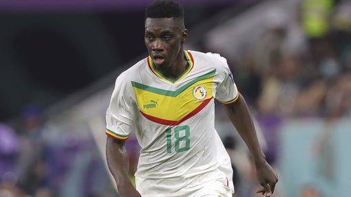 Катар — Сенегал. Прогноз и ставка на матч Прогноз на матч Катар — Сенегал