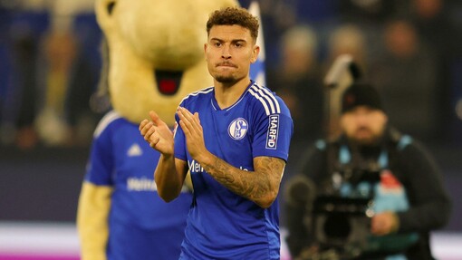 Прогноз на матч Рапид Вена — Шальке 04