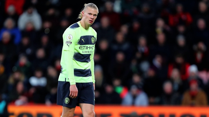 Эрлинг Холанн