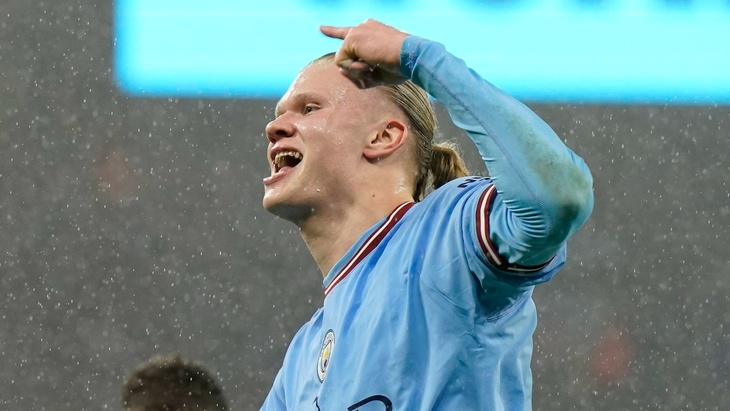 Эрлинг Холанн